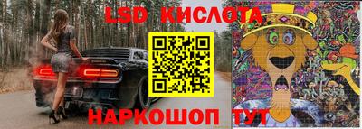 СК Донецк