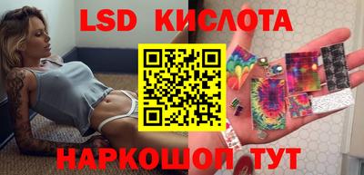 СК Донецк