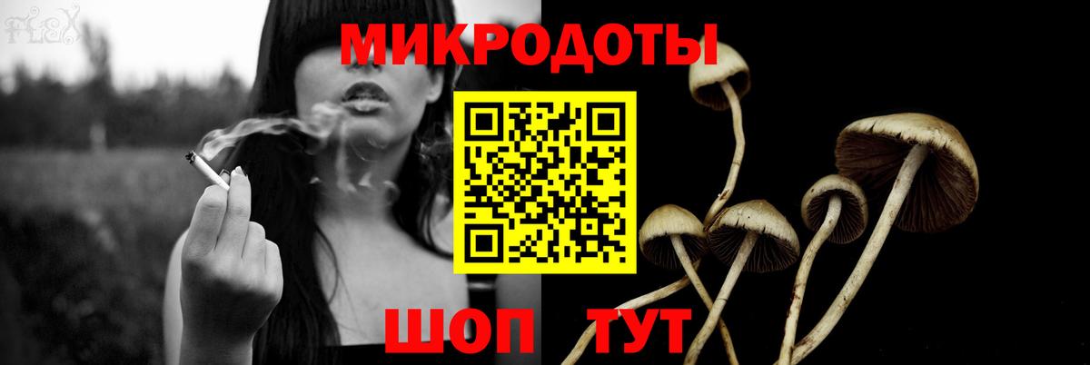 Лосино-Петровский  Галлюциногенные грибы Psilocybine cubensis  цена   Вход с VPN 
